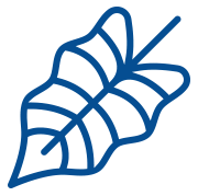 Department of Hawaiian Home Lands (DHHL) Loans